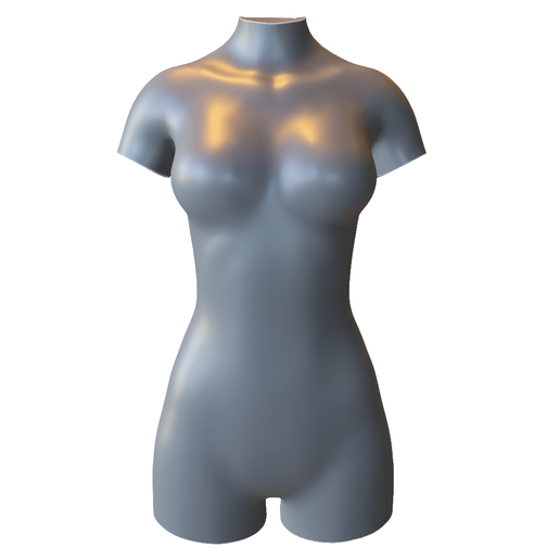 Female Mannequin Torso