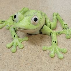Cute Flexi Print-in-Place Frog, Dhm8tor456