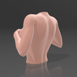 03.png Beautifully shaped female bust - STL 3D Printer