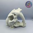 2d76dc38-5f16-4cc1-b6f4-a28553cc44a8.jpg Sabertooth Skull Dice Tower