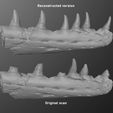 prognathodon_preview03.jpg STL file Mosasaur Jaw・3D printable model to download