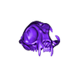 Kittyhorn_skull.stl crâne de chaton