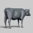 R05.jpg cow pose 03