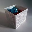IMG_20190915_110951.jpg Free STL file Organic Box・3D print design to download