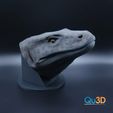 3578327391.jpg Monitor lizard head portrait