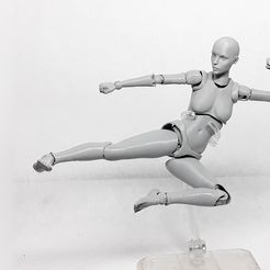 007.jpg Lady Figure the 3D printed female action figure
