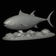 Bluefin-tuna-12.png Atlantic bluefin tuna / Thunnus thynnus / Tuňák obecný  fish underwater statue detailed texture for 3d printing