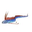 0.jpg DOWNLOAD Hairtail DOWNLOAD FISH DINOSAUR DINOSAUR Hairtail FISH 3D MODEL ANIMATED - BLENDER - 3DS MAX - CINEMA 4D - FBX - MAYA - UNITY - UNREAL - OBJ -  Hairtail FISH DINOSAUR