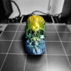 COLECCIÓN BEARD SKULL - Nº1