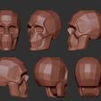 ZBrush Document01.jpg Skull