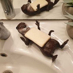 loutre03.jpg Archivo STL Jabonera Otter・Modelo de impresión 3D para descargar