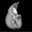 liver_anatomy_2.jpg Modelo anatómico del hígado - Estructura detallada del órgano - Impresión 3D del hígado - Exposición médica educativa - Representación de órganos del cuerpo humano