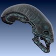 Alien1a.jpg Alien 1 Xenomorph Head