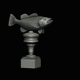 peacock-bass-trophy-3-1-2-21.png Peacock bass (Cichla ocellaris) fish trophy cup 2 for 3d printing