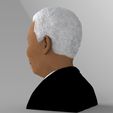 nelson-mandela-bust-ready-for-full-color-3d-printing-3d-model-obj-mtl-fbx-stl-wrl-wrz (5).jpg Nelson Mandela bust ready for full color 3D printing