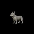 21.jpg French Bulldog model 3D print model