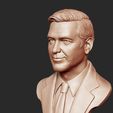 12.jpg George Clooney 3D print model