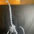 received_334603069337515.jpeg Brachiosaurus  Skeleton