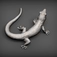Day-Gecko6.jpg Day Gecko 3D print model