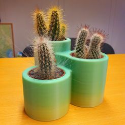cactus.jpg Cactus Pot x3