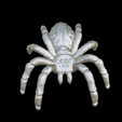 Capture-d’écran-2023-07-06-à-12.13.49.png spider