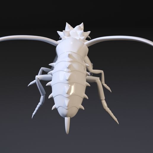 9.jpg Avispón de Rick