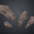 animal_skulls_3d_print_file_3demon.86.jpg Realistic Animal Skull Collection