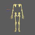 limbs-with-girdle-bones-name-parts-text-labelled-3d-model-01a7e10ec3.jpg Limbs With Girdle bones name parts text labelled 3D model