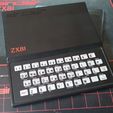 ZX81-1.JPG Sinclair ZX81 case