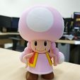 01.jpg Toadette from Mario games - Multi-color