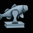 Bass-trophy-35.png Largemouth Bass / Micropterus salmoides fish in motion trophy statue detailed texture for 3d printing