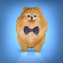 IMG_2003.png Archivo STL Perro pomerania・Design para impresora 3D para descargar