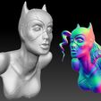 Cover.jpg Catwoman bust 2 versions