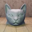 cat orejon 1.jpg potted cat