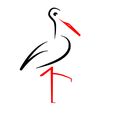 _Storch_