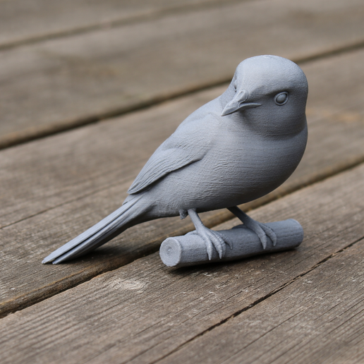 Bar-winged flycatcher-shrike