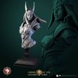 Narcissa_bust_V1.jpg 'Order of the Golden Fury' January 2023 Release 25 STL's miniatures pre-supported