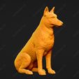 1687-Belgian_Shepherd_Dog_Malinois_Pose_04.jpg Belgian Shepherd Dog Malinois Dog 3D Print Model Pose 04