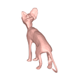 model-3.png Sphynx cat low poly