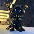 IMG_4838.jpg Ninja Cat