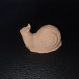20190810_125927.jpg snail (scan with phone, process with (recap photo) on pc)