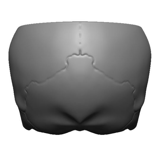💀 Skull box・ 3D File for 3D printing・Cults