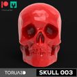 R-02.jpg SKULL SKULL 03 skull for decoration