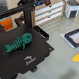 Flexi Print-in-Place Fish
