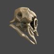 05.jpg Archaeopteryx skull in 3D