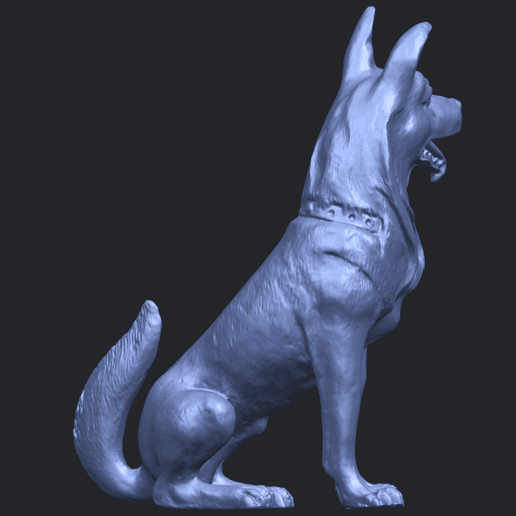 12_TDA0307_Dog_WolfhoundB07.png Dog - Wolfhound