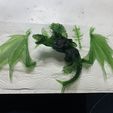 IMG_1369.JPG Free STL file Boss Git on Pet Drake・Object to download and to 3D print