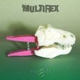 multirex_clothespeg.jpg multi-rex