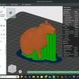 slicer-screenshot-capybara.jpg Realistic Capybara