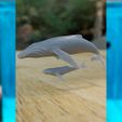 Whales1.jpg Archivo STL FAMILIA BALLENAS PARA DIORAMA ACUÁTICO・Objeto imprimible en 3D para descargar
